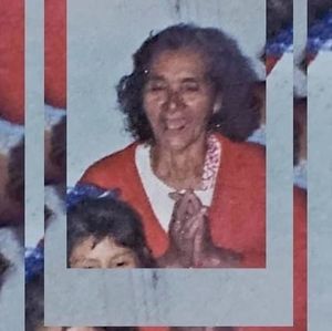 Meet your Posher, Carmen